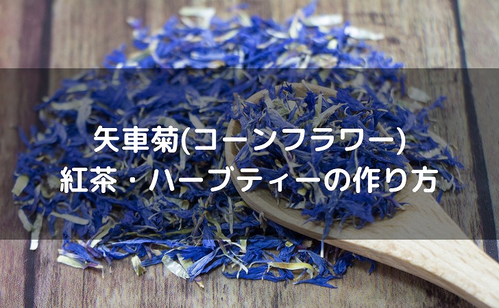 矢車菊(コーンフラワー)の紅茶・ハーブティーの作り方： 香りや効能と楽しみ方