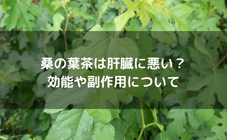 桑の葉茶は肝臓に悪い？効果的な飲み方・適量と肝臓への効果について